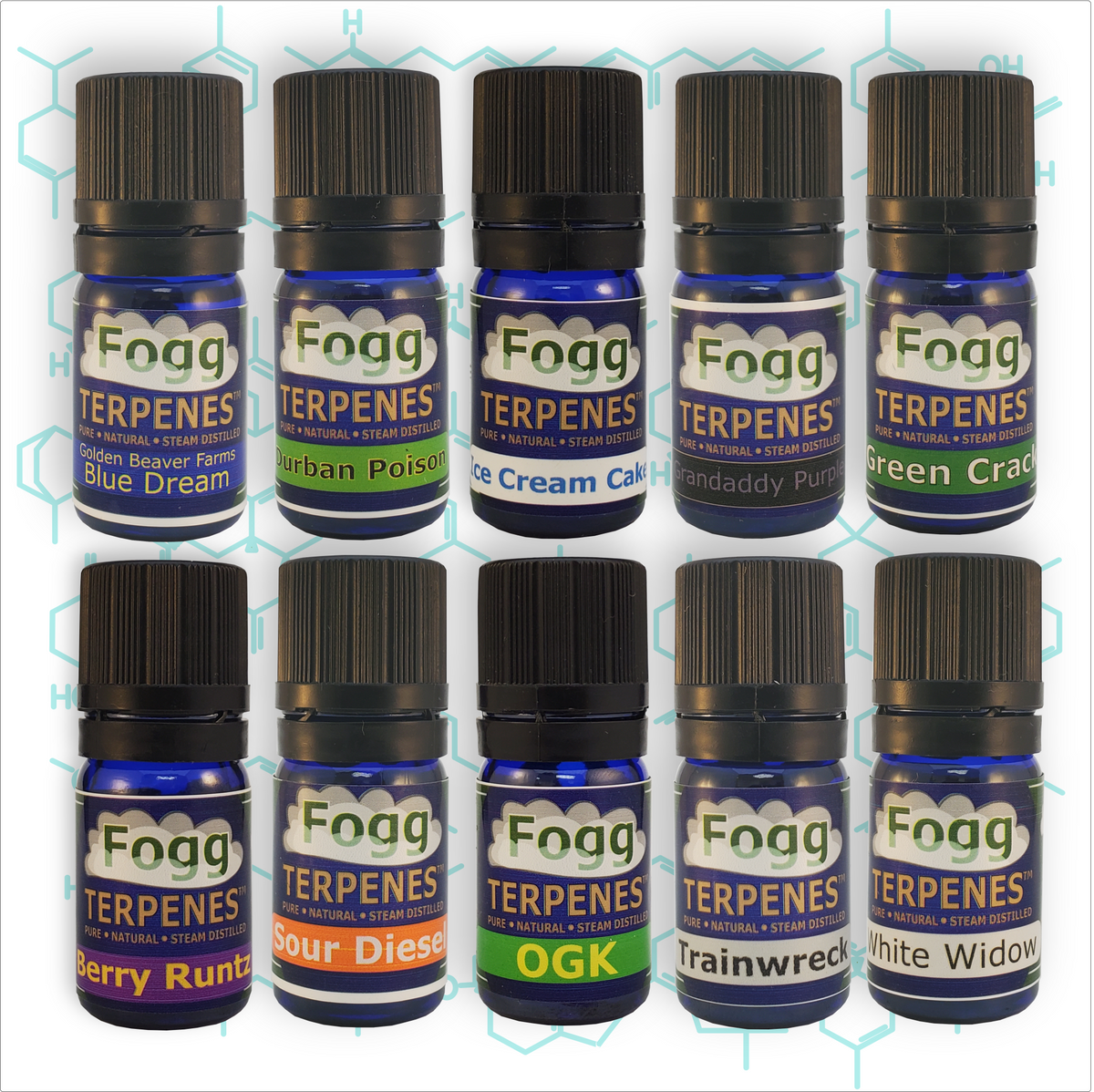FOGG TERPENES - Captain's New 10 Pack
