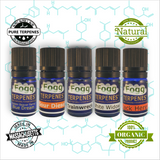 FOGG TERPENES - Variety Pack 1