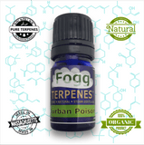 FOGG TERPENES - Durban Poison