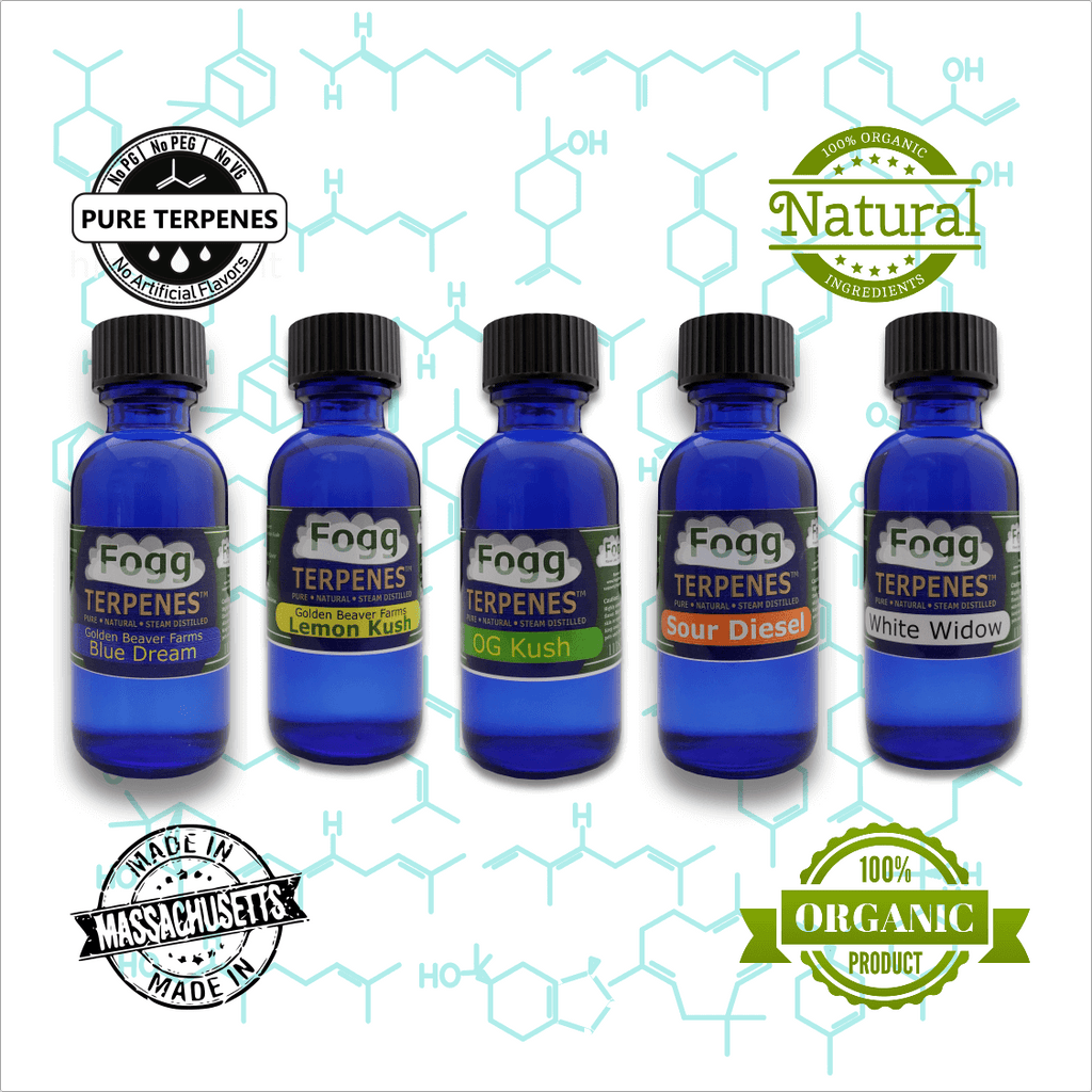 best selling lost mary flavors Best Lost Mary Flavors & Disposables ⋆ Vape Society Supply best selling lost mary flavors Best Lost Mary Flavors & Disposables ⋆ Vape Society Supply