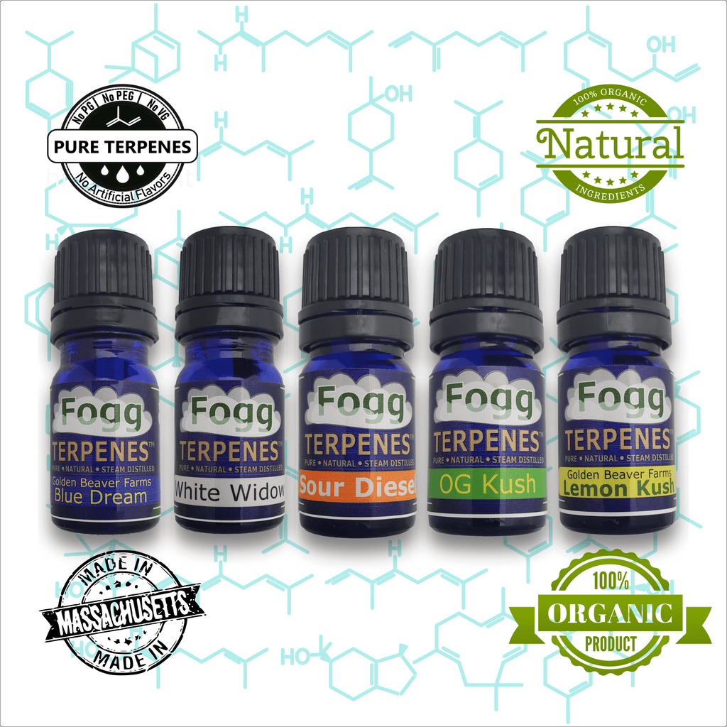 FOGG TERPENES - Best Sellers Collection FOGG TERPENES - Best Sellers Collection