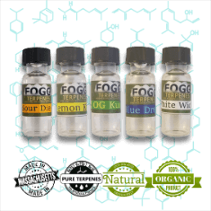 FOGG TERPENES - Best Sellers Collection FOGG TERPENES - Best Sellers Collection