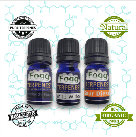 FOGG TERPENES - Floral Collection