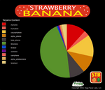 FOGG TERPENES - Strawberry Banana - Fogg Terpenes, Pure Terpenes - Terpenes, Fogg Flavor Labs - Fogg Flavor Labs, LLC., Fogg Flavors - Fogg Flavors